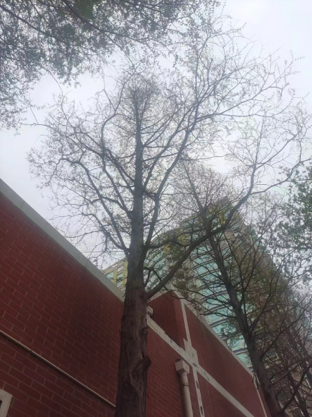 固体废物处理处置工程乙级资质新办需要的工程师我可以快速提供 固体废物处理处置工程乙级资质新办需要的工程师我可以快速提供