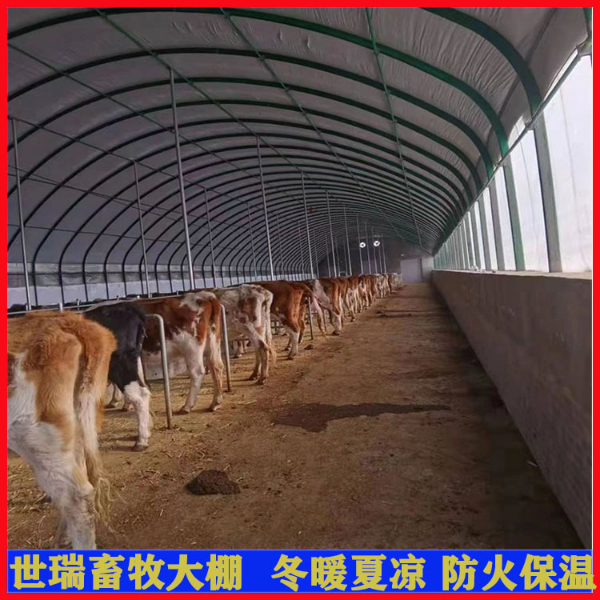 养牛场牛棚施工规划 肉牛养殖棚搭建 钢架牛棚建设成本 养牛场牛棚施工规划 肉牛养殖棚搭建 钢架牛棚建设成本