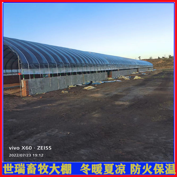 养牛场牛棚施工规划 肉牛养殖棚搭建 钢架牛棚建设成本 养牛场牛棚施工规划 肉牛养殖棚搭建 钢架牛棚建设成本