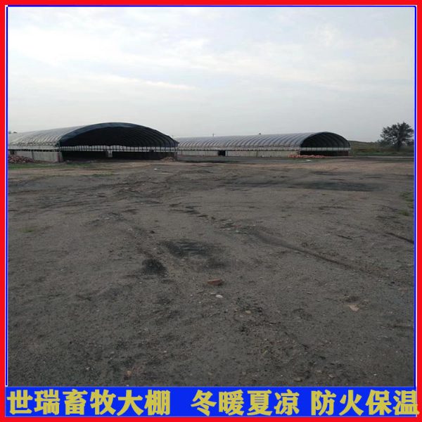 养牛场牛棚施工规划 肉牛养殖棚搭建 钢架牛棚建设成本 养牛场牛棚施工规划 肉牛养殖棚搭建 钢架牛棚建设成本