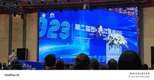 防城港富猫法务公司简介线下网点 防城港富猫法务公司简介线下网点