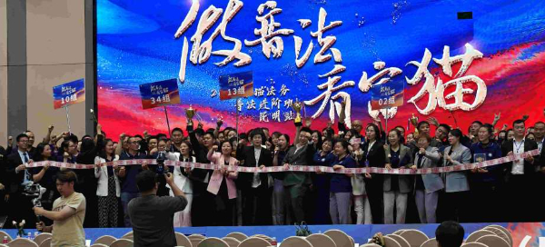 辽宁抚顺富猫法务什么运营模式 辽宁抚顺富猫法务什么运营模式