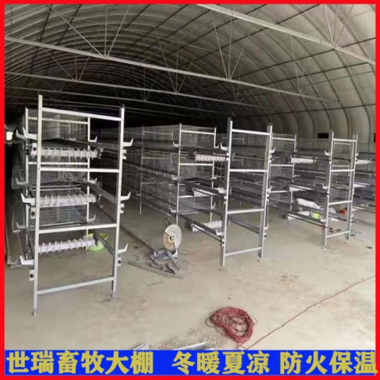 全封闭养鸡大棚安装 鸡舍大棚建设 肉鸡保温大棚施工