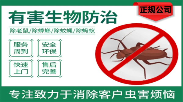 南通专业除蟑螂 灭老鼠 灭蚊子 灭苍蝇 除四害 空气净化 消 南通专业除蟑螂 灭老鼠 灭蚊子 灭苍蝇 除四害 空气净化 消