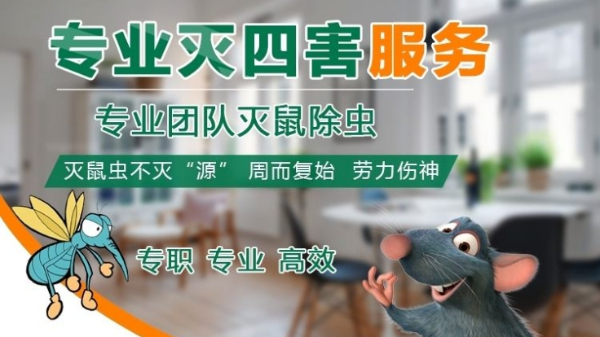 南通专业除蟑螂 灭老鼠 灭蚊子 灭苍蝇 除四害 空气净化 消 南通专业除蟑螂 灭老鼠 灭蚊子 灭苍蝇 除四害 空气净化 消
