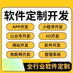 软件定制软件开发小程序开发商城app定制开发物联网电脑管理系