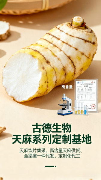 古德生物天麻原料符合药典天麻素0.25%资质齐全 古德生物天麻原料符合药典天麻素0.25%资质齐全